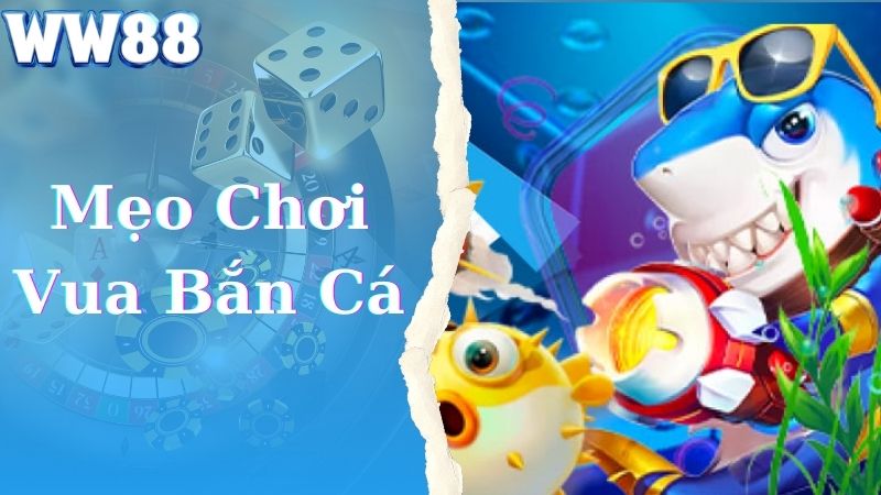 Bí quyết giúp bạn chơi game vua bắn cá đạt hiệu quả cao