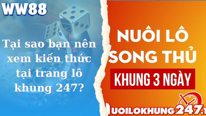 Tại sao bạn nên xem kiến thức tại trang lô khung 247?